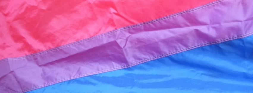 International Celebrate Bisexuality Day Bi Visibility Day September 23 World bisexuality day bisexual bi visibility day Color Campaign